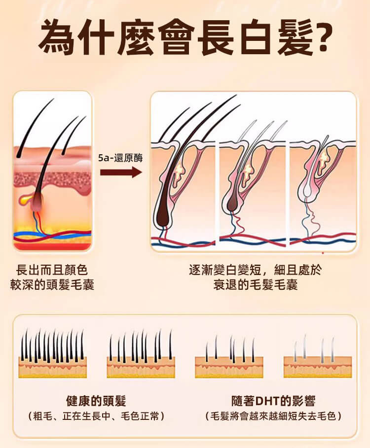 靈芝烏黑片1782643664616489.jpg 靈芝烏黑片,固信堂靈芝烏黑片